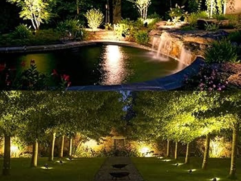 81px8tfa0sL._UF350,350_QL80_